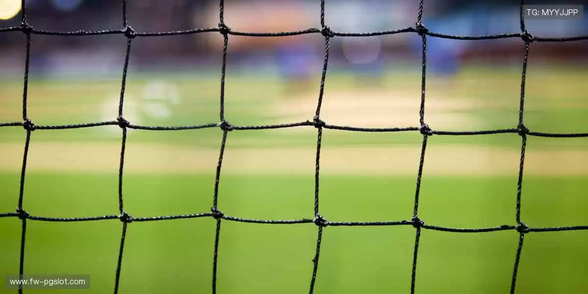 巅峰对决，用汗水书写传奇，你我共同见证🏀✨